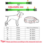 USB Rechargeable LED Glowing Dog Collar – Adjustable Night Safety