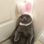 Easter Pet Costume - Cat Costume Dog Easter Outfit