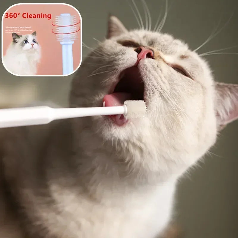 Soft Cat Toothbrush – Gentle Oral Care Brush for Pet Teeth Cleaning