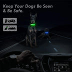 USB Rechargeable LED Glowing Dog Collar – Adjustable Night Safety