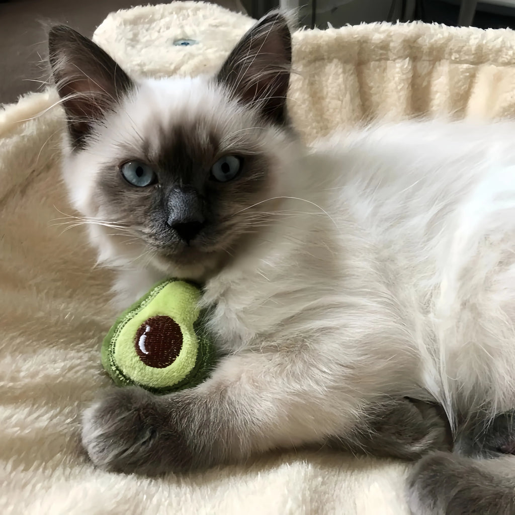 Cat Toys - Interactive Catnip Plush Toy for Kittens