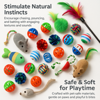 Kitten Toys Variety Pack – Interactive Play Set for Curious Cats