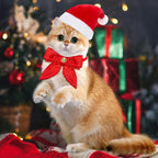 Christmas Dog Hats - Adjustable Breathable Polyester Accessories