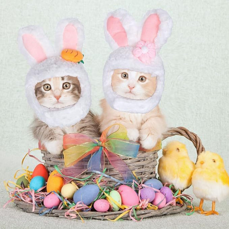 Easter Pet Costume - Pet Easter Outfit Small Dog Costume