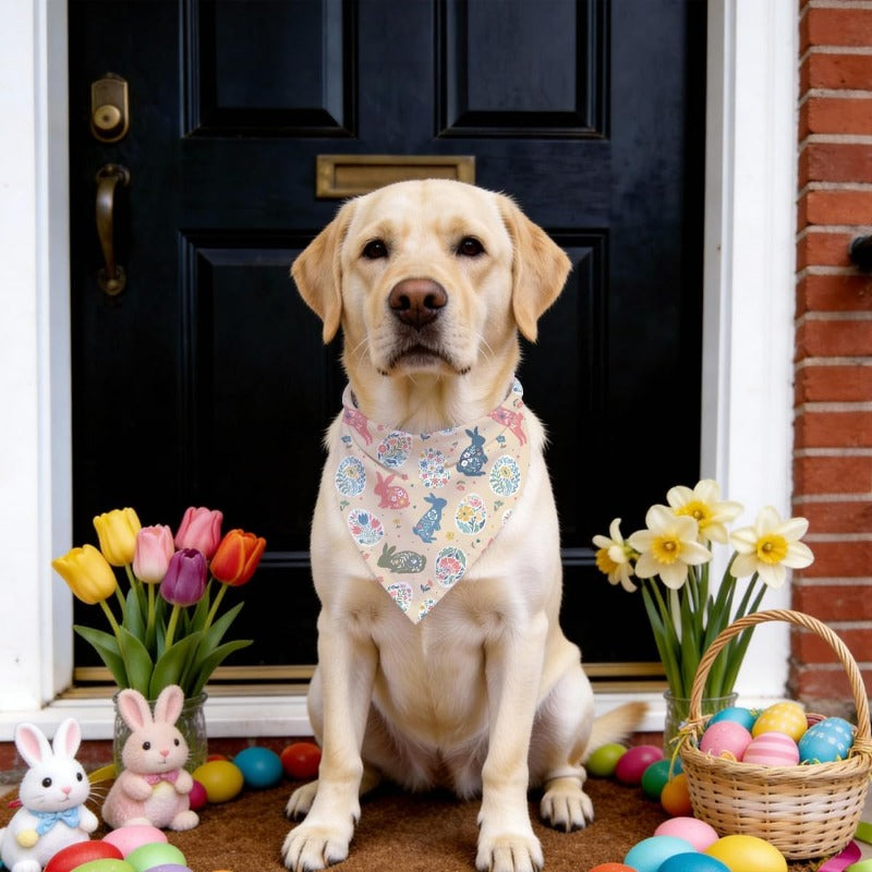 Easter Dog Bandana - Adjustable Bunny Print Scarf