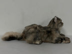 Plush American Tabby Cat Longhair Order to Make