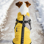 Windproof Dog Winter Jacket - Soft Dog Coat for Cold Weather