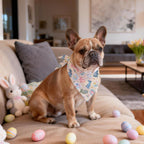 Easter Dog Bandana - Adjustable Bunny Print Scarf