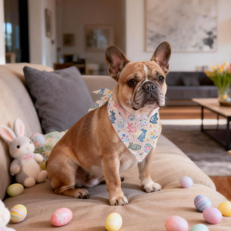 Easter Dog Bandana - Adjustable Bunny Print Scarf