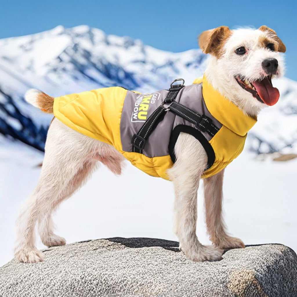 Windproof Dog Winter Jacket - Soft Dog Coat for Cold Weather