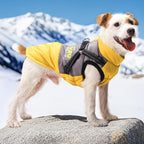Windproof Dog Winter Jacket - Soft Dog Coat for Cold Weather