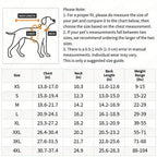 Dog Recovery Suit - Post Surgery Comfort