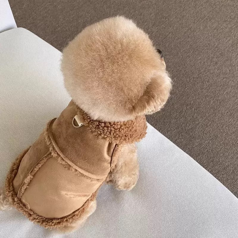 Dog Winter Jacket - Cozy Bear Small Dog Coat