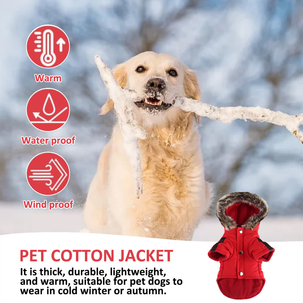 Dog Winter Coat - Warm Windproof Small Dog Jacket