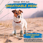 Kann Memor Strauss flushastespee Connectivity Widrtloran flushrtlas...