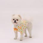 Easter Pet Shirt - Carrot Print Dog & Cat