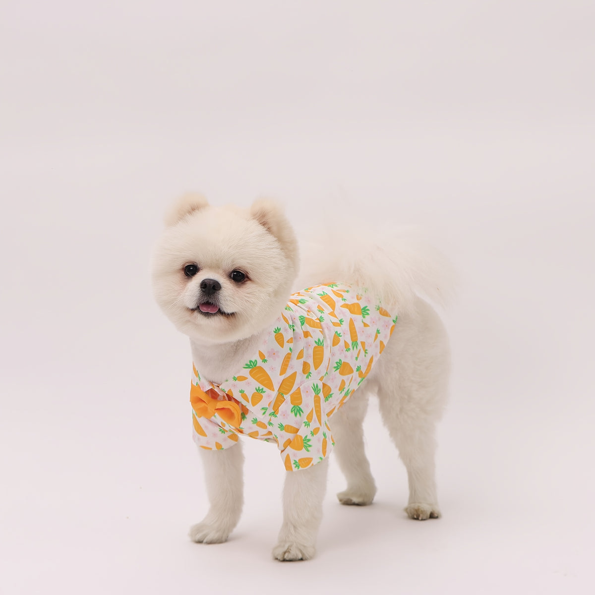 Easter Pet Shirt - Carrot Print Dog & Cat