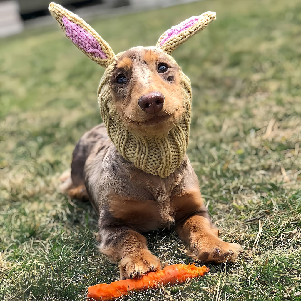 Easter Pet Costumes - Bunny Hats for Cats Dogs