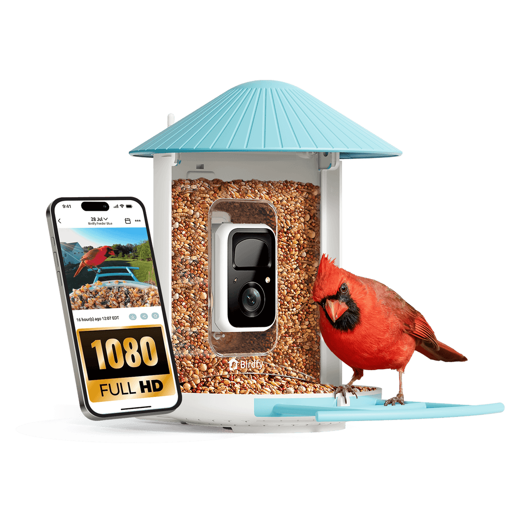 Birdfy Feeder - AI-Powered Smart Bird Feeder with Camera
