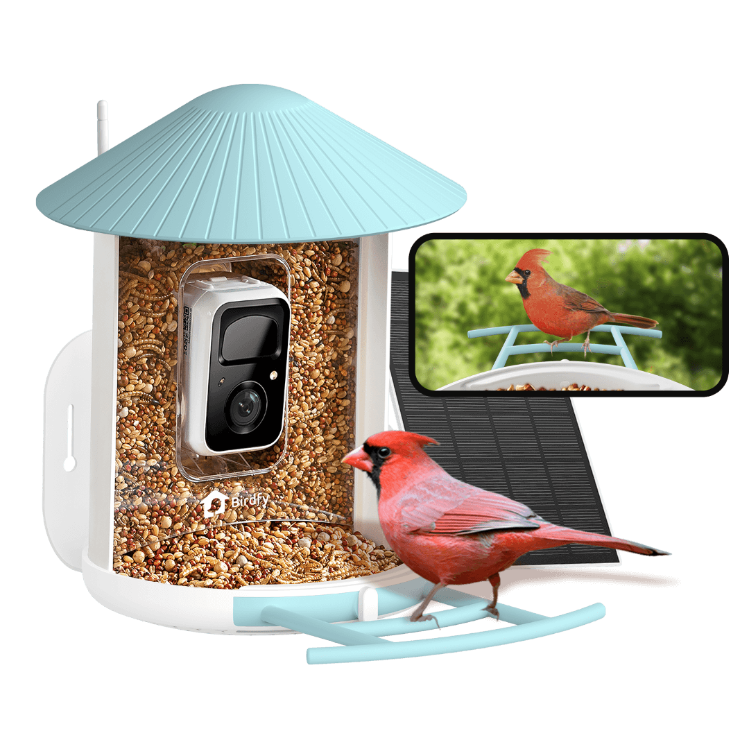 Birdfy Feeder - AI-Powered Smart Bird Feeder with Camera