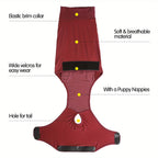 Dog Recovery Suit - Post Surgery Comfort