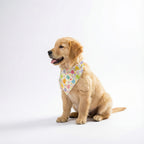 Pet Easter Egg Print Bandana for Small Dogs & Cats - Soft Breathable Triangle Collar Scarf with Adjustable Rope Tie, Easter Egg Pattern Suitable for Puppies, Kittens, Spring Festival Accessory, for Small to Medium Dogs