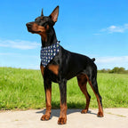 Easter Dog Bandana - Adjustable with Bunny Patterns