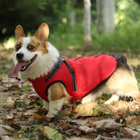 Windproof Dog Winter Coat - Insulated Waterproof Jacket