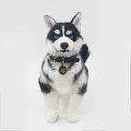Husky Plush – Realistic Dog Toy Gift for Pet Lovers
