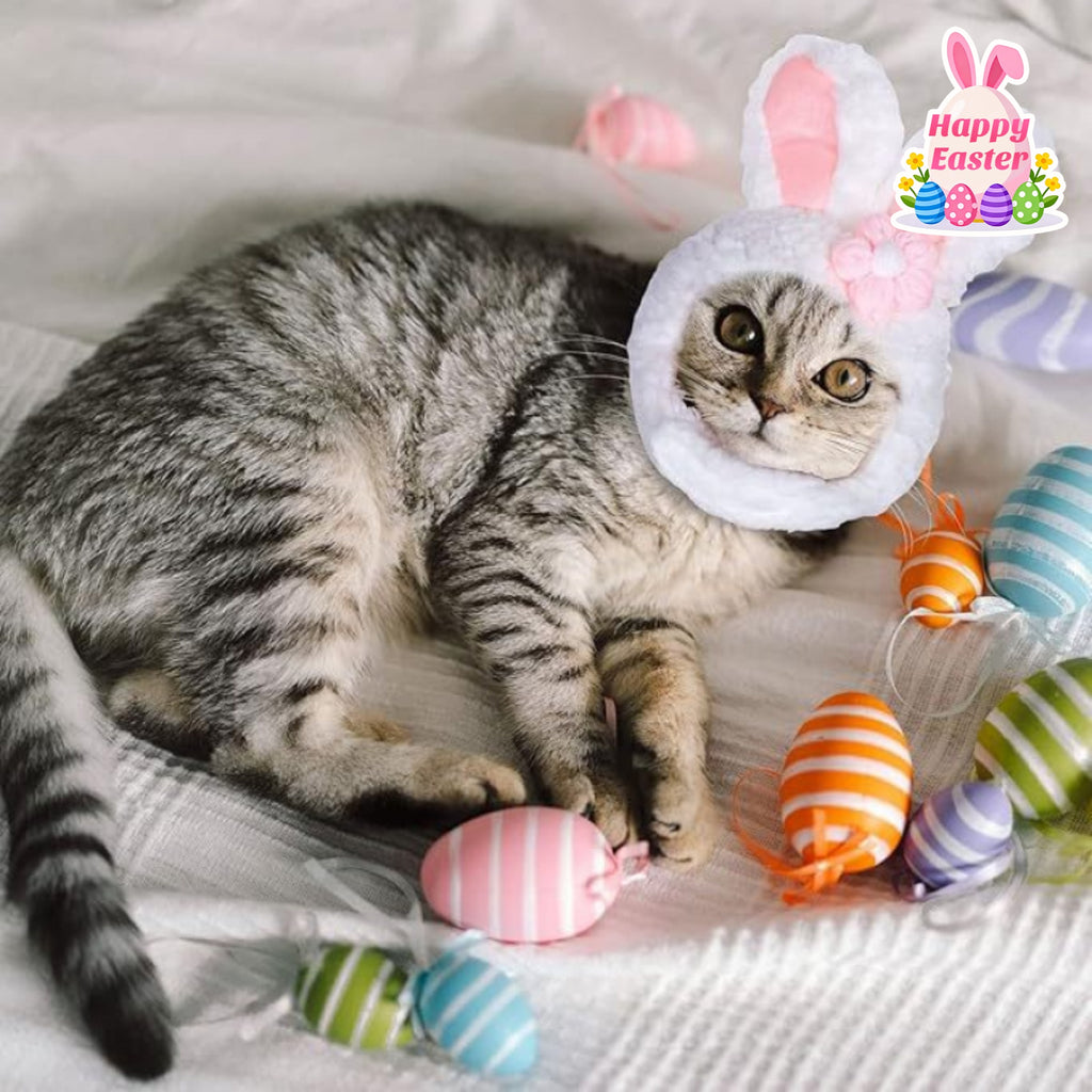 Easter Pet Costume - Pet Easter Outfit Small Dog Costume