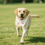 Easter Dog Bandana - Funny Pet Accessory