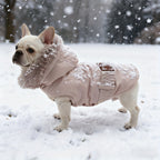 Dog Winter Jacket - Insulated Windproof Small XL