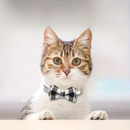Adjustable Bow Tie Cat Collar – Stylish & Comfortable Breakaway Design