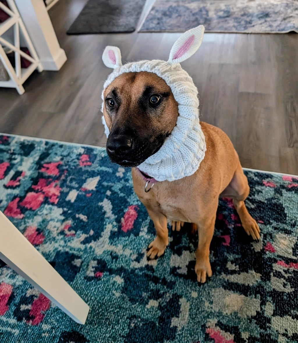 Easter Pet Costumes - Bunny Hats for Cats Dogs
