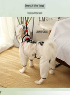 Dog Raincoat - Waterproof Dog Jacket Dog Rain Jacket