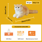 Golden Brtitish Short Hair Cat Plush – Weighted Emotional Support Toy Gift