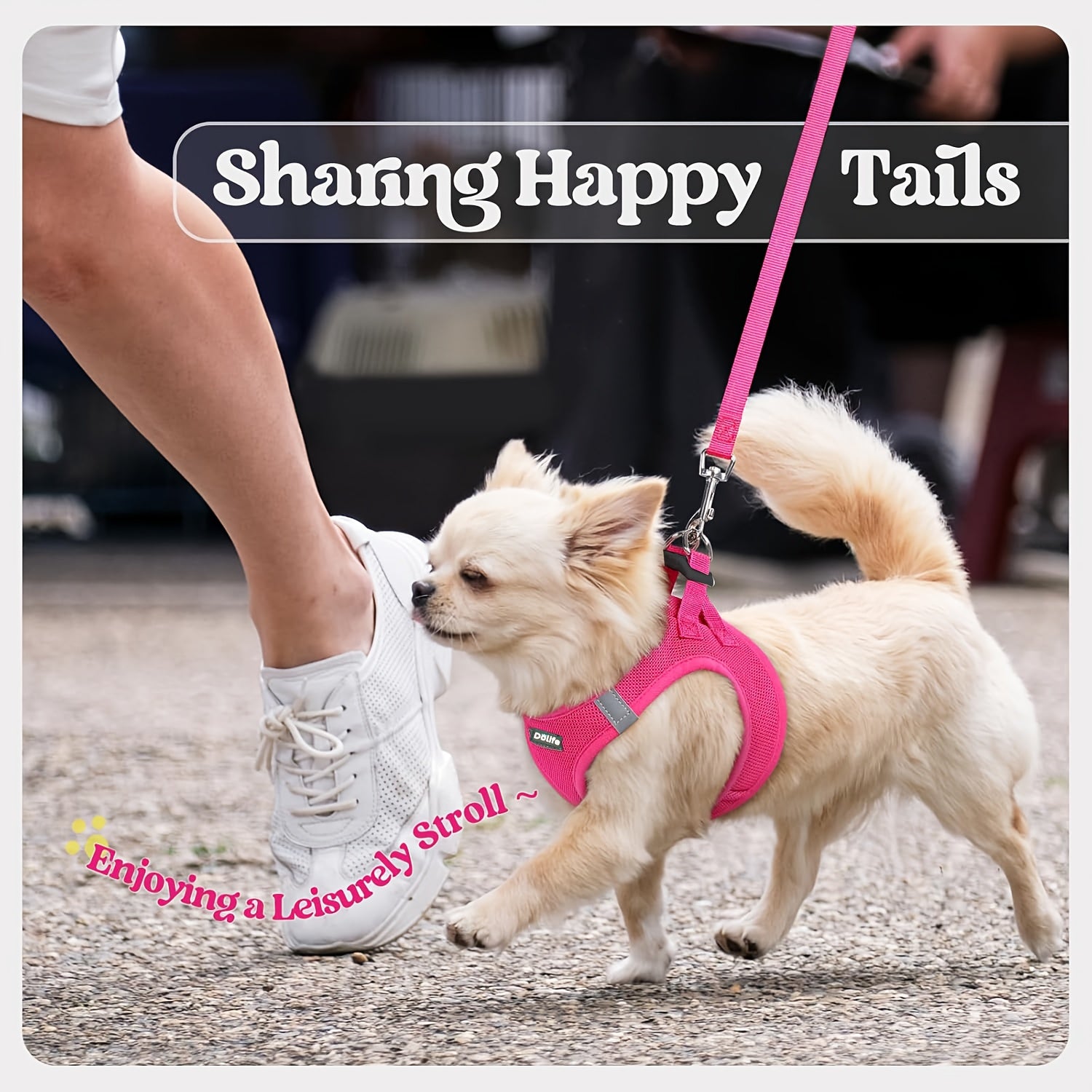 Reflective Mesh Dog Harness - Step-In Design