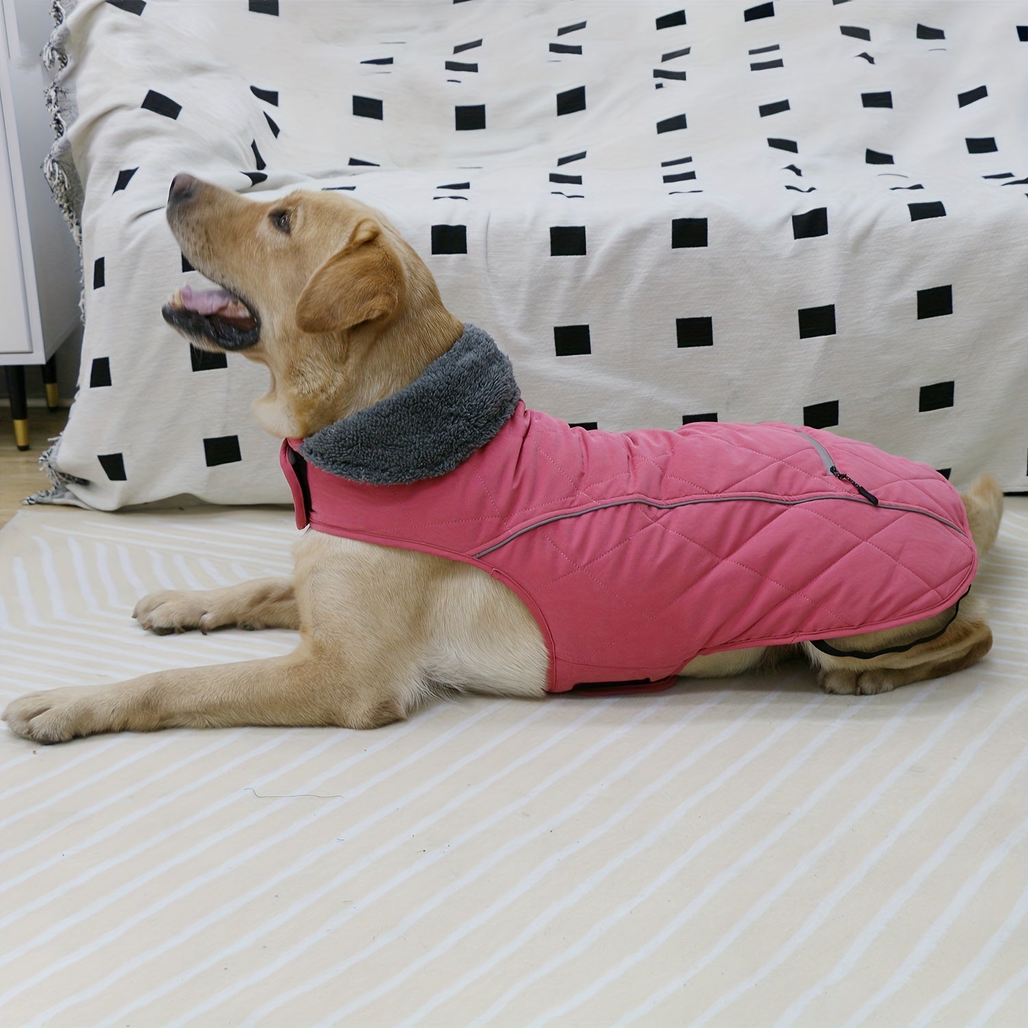 Dog Winter Jacket - Dog Coat Winter Dog Clothes