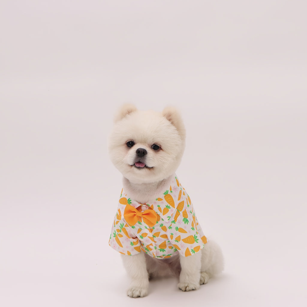 Easter Pet Shirt - Carrot Print Dog & Cat