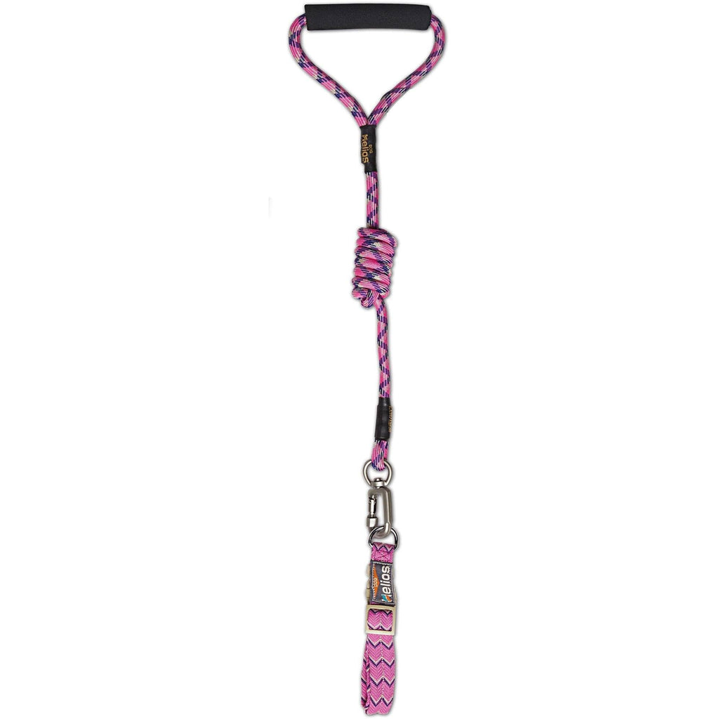 Dog Helios ® 'Dura-Tough' 2-in-1 Reflective Adjustable Fashion Dog Leash and Collar