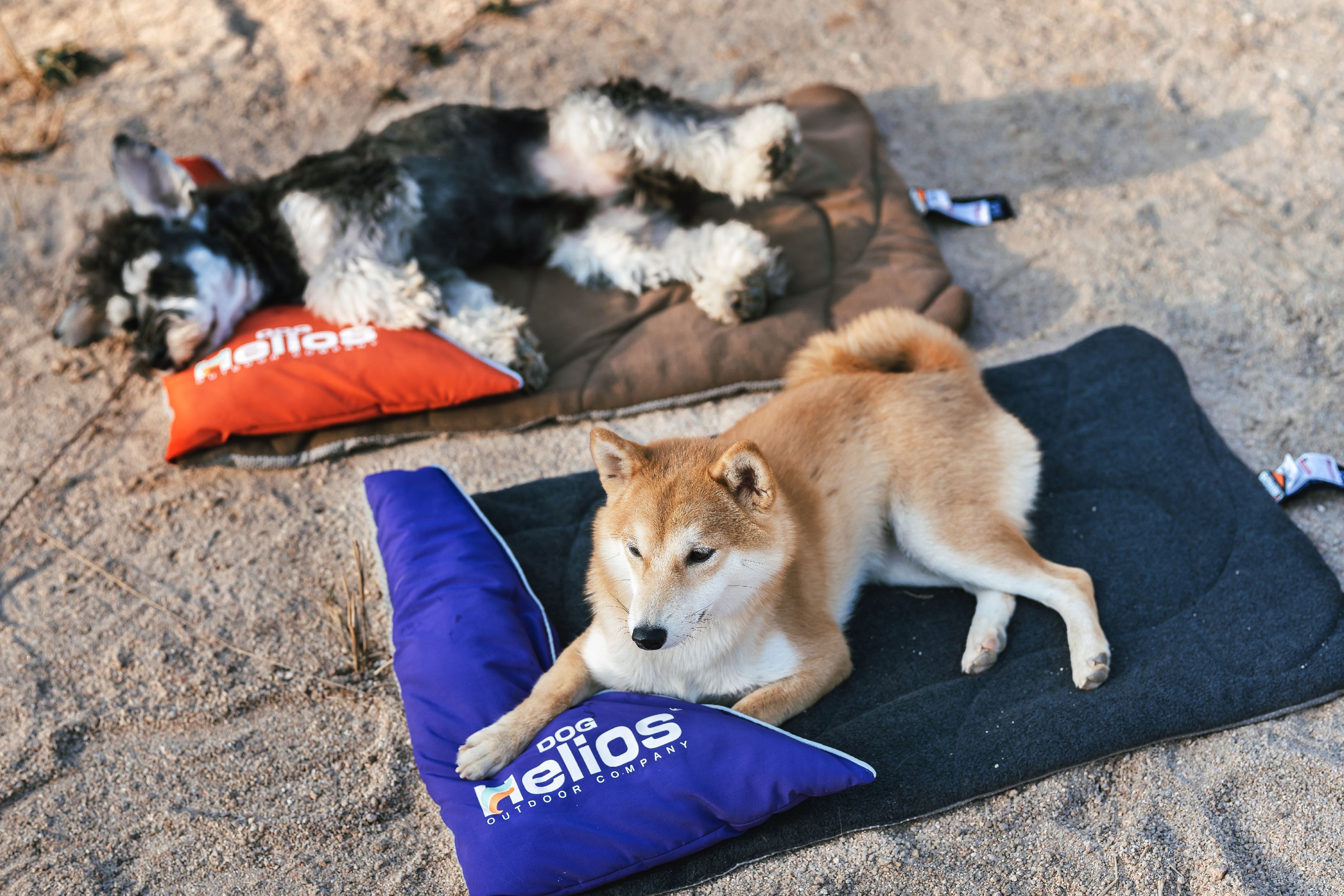 Dog Helios ® 'Expedition' Sporty Travel Camping Pillow Dog Bed