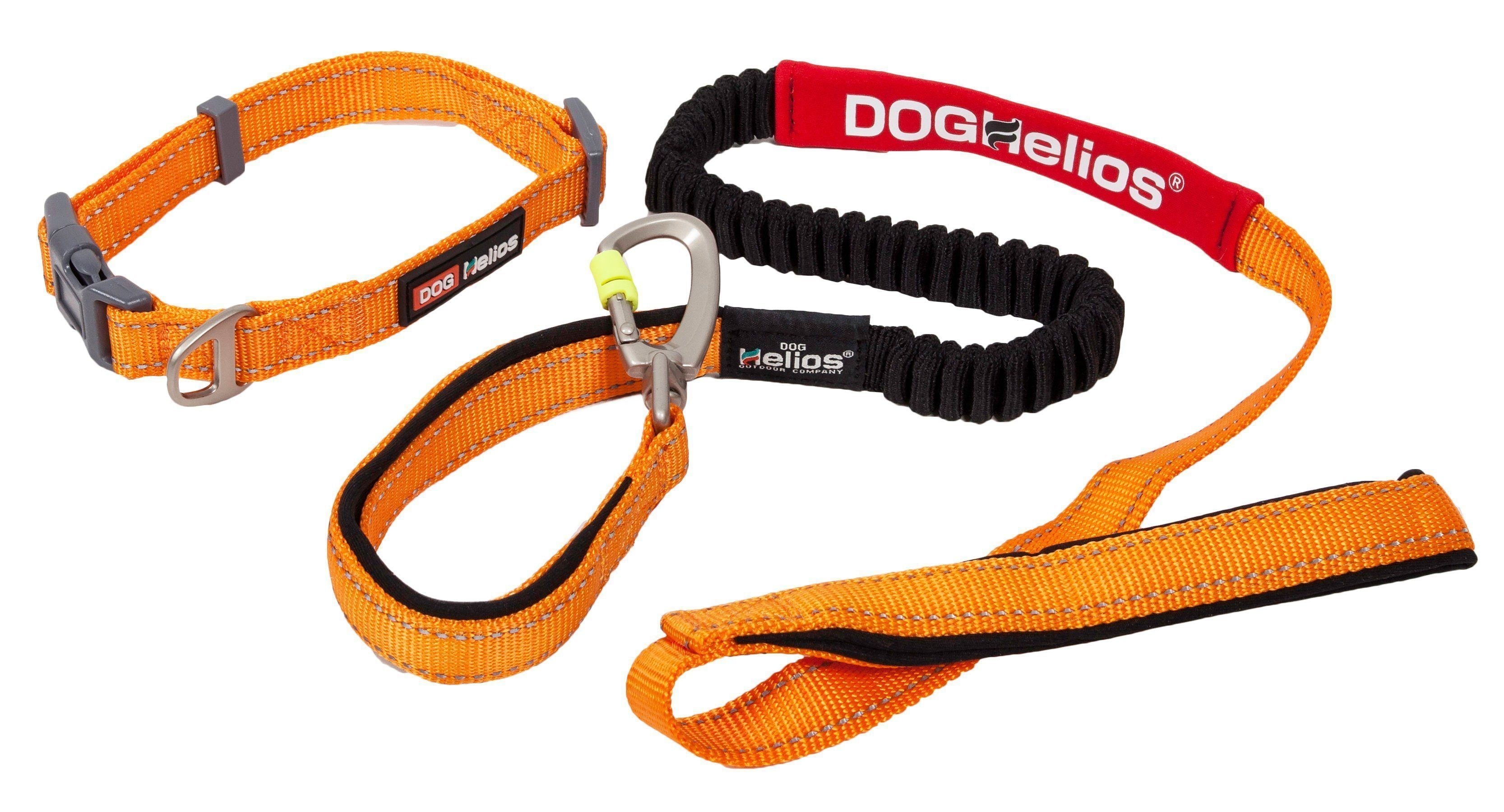 Dog Helios ® 'Neo-Indestructible' 2-in-1 Accordion Dog Collar and Leash