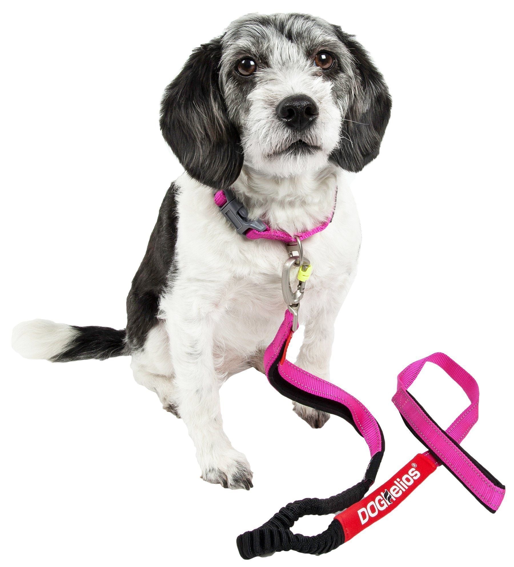 Dog Helios ® 'Neo-Indestructible' 2-in-1 Accordion Dog Collar and Leash