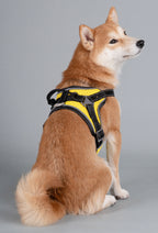 Dog Helios ® 'Scorpion' Sporty High-Performance Free-Range Dog Harness