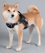 Dog Helios ® 'Scorpion' Sporty High-Performance Free-Range Dog Harness