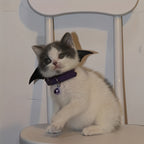 Halloween Pet Collar - Handcrafted Leather with Bell