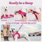 Reflective Mesh Dog Harness - Step-In Design