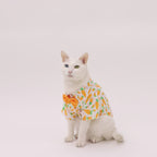 Easter Pet Shirt - Carrot Print Dog & Cat
