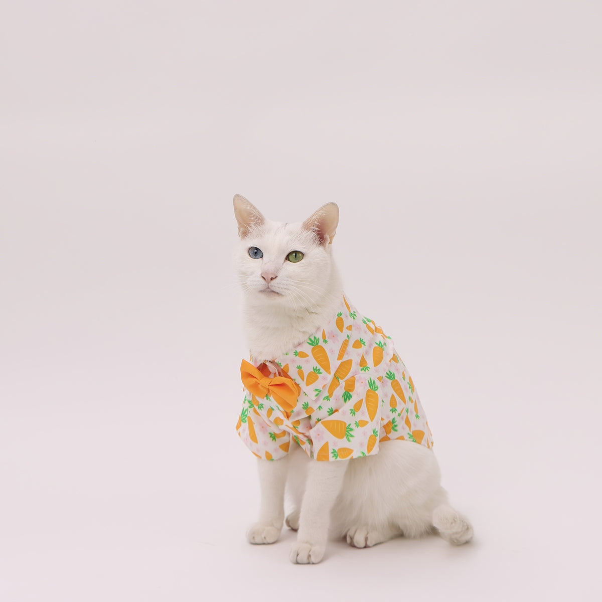 Easter Pet Shirt - Carrot Print Dog & Cat