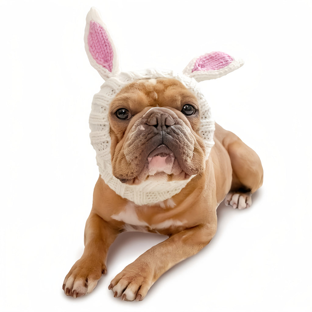 Easter Pet Costumes - Bunny Hats for Cats Dogs